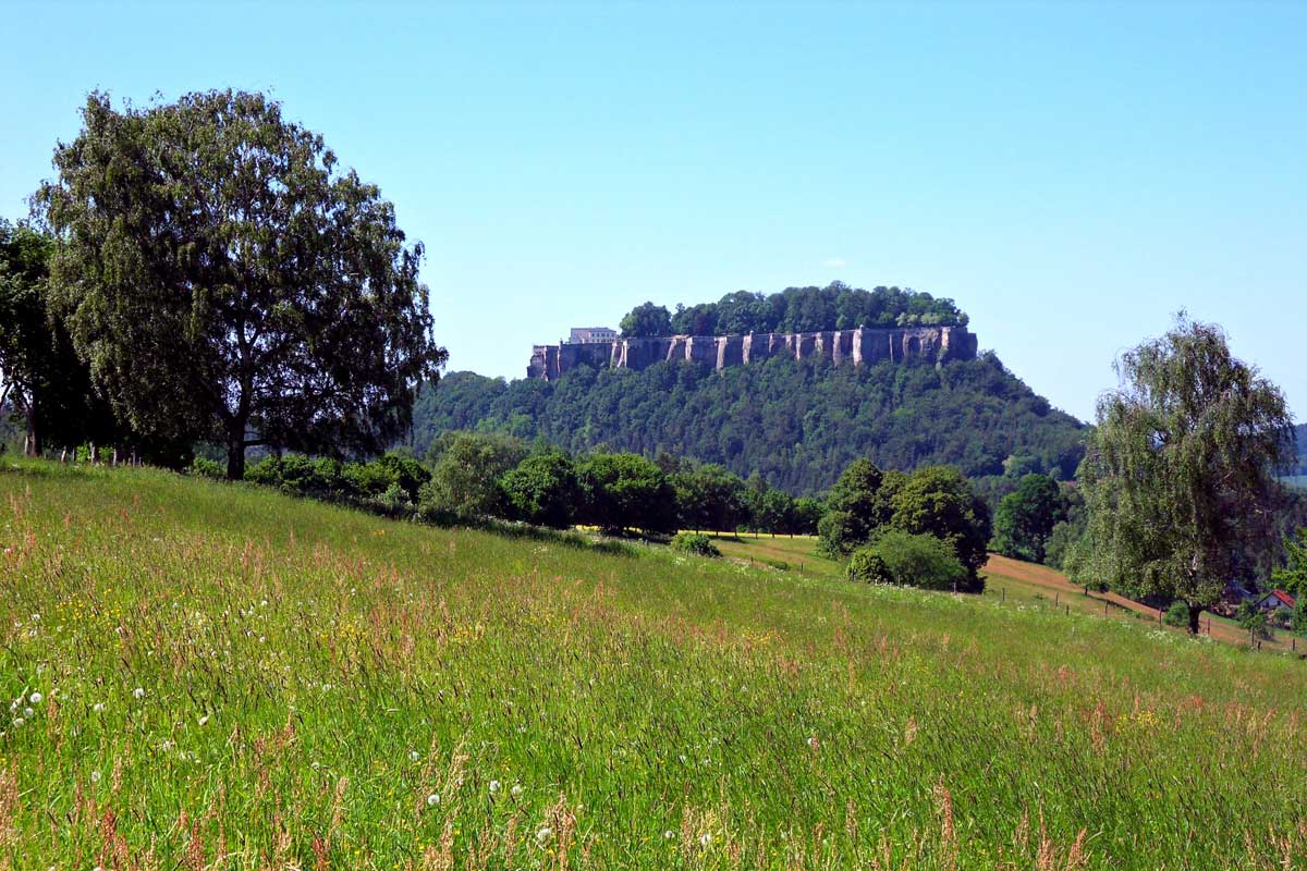 Blick zur Festung Königstein